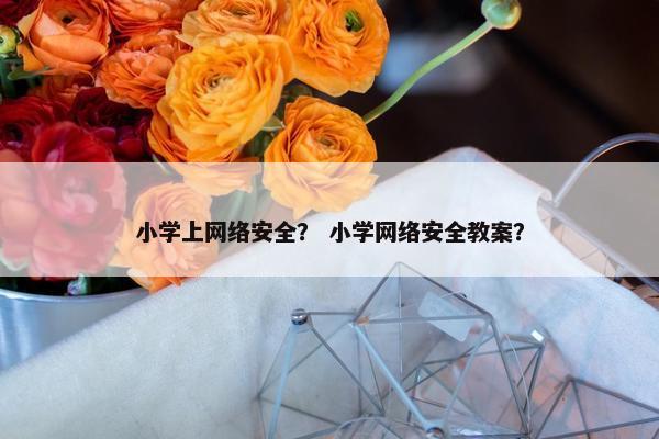小学上网络安全？ 小学网络安全教案？