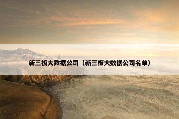 新三板大数据公司（新三板大数据公司名单）