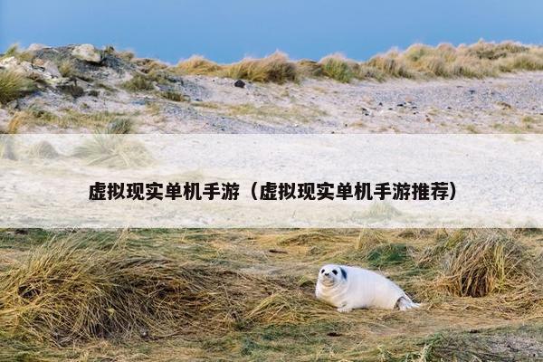 虚拟现实单机手游（虚拟现实单机手游推荐）