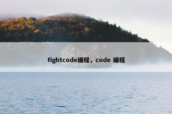 fightcode编程，code 编程