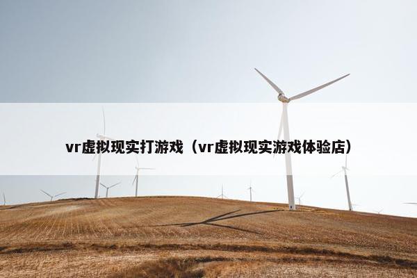 vr虚拟现实打游戏（vr虚拟现实游戏体验店）
