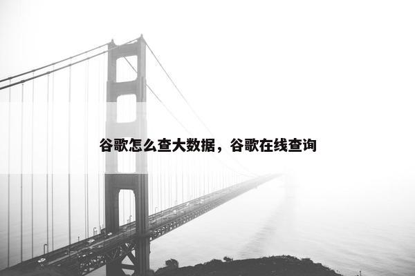 谷歌怎么查大数据，谷歌在线查询