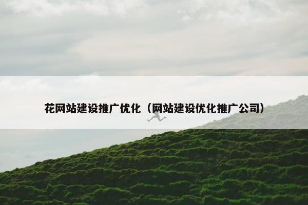 花网站建设推广优化（网站建设优化推广公司）