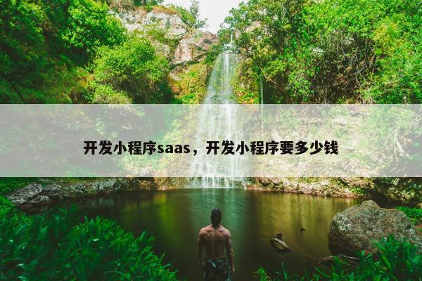 开发小程序saas，开发小程序要多少钱