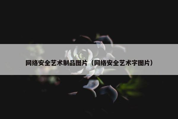 网络安全艺术制品图片（网络安全艺术字图片）