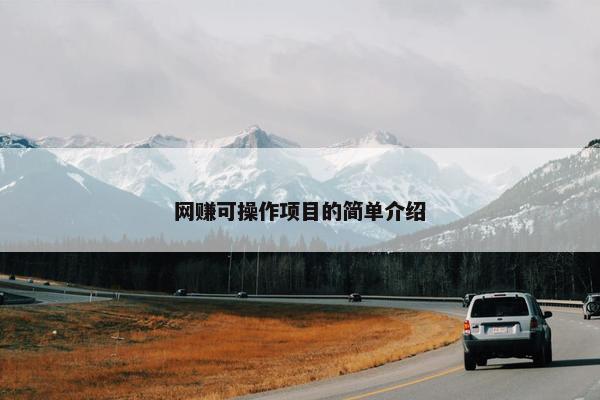 网赚可操作项目的简单介绍