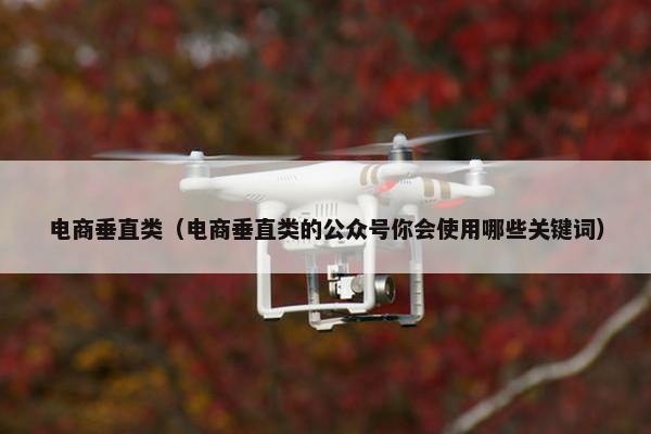 电商垂直类（电商垂直类的公众号你会使用哪些关键词）
