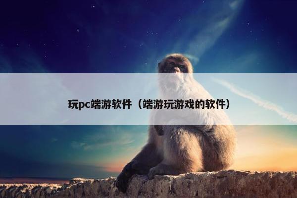 玩pc端游软件（端游玩游戏的软件）