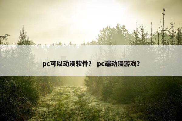 pc可以动漫软件？ pc端动漫游戏？
