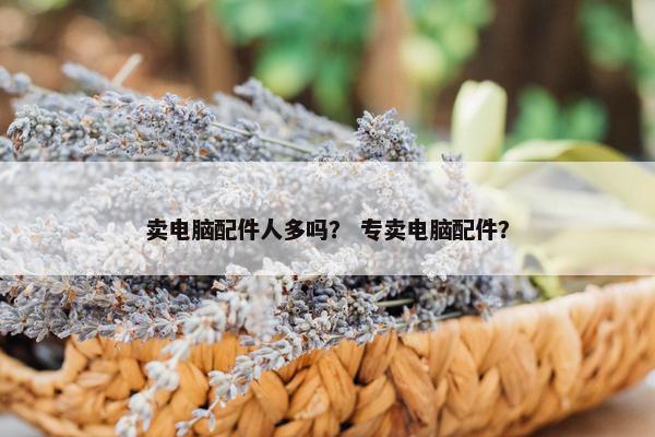 卖电脑配件人多吗？ 专卖电脑配件？