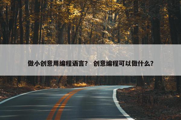 做小创意用编程语言？ 创意编程可以做什么？