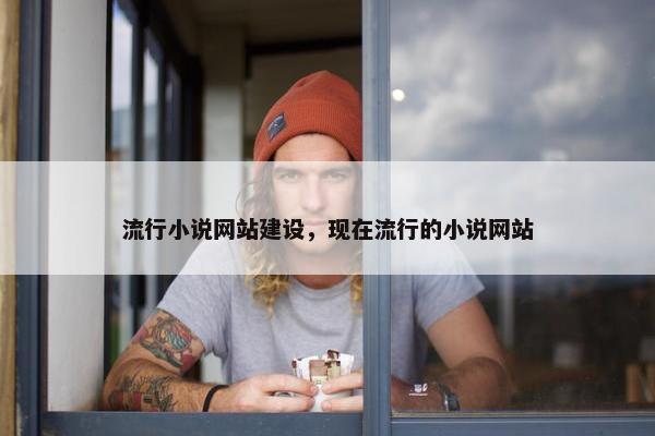 流行小说网站建设，现在流行的小说网站