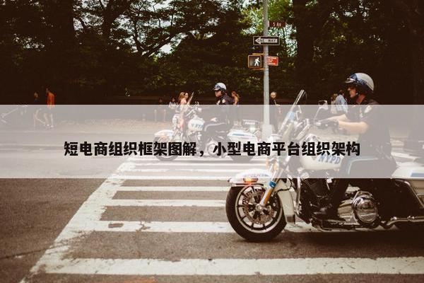 短电商组织框架图解，小型电商平台组织架构