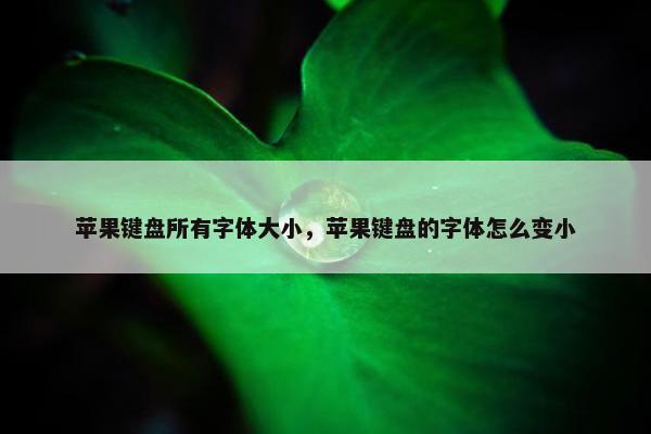 苹果键盘所有字体大小，苹果键盘的字体怎么变小