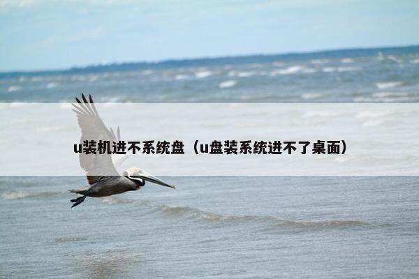 u装机进不系统盘（u盘装系统进不了桌面）