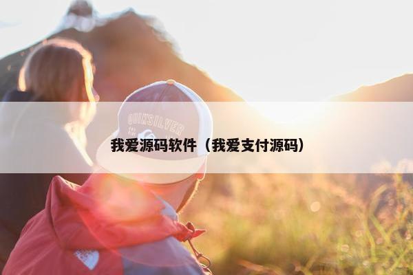 我爱源码软件（我爱支付源码）