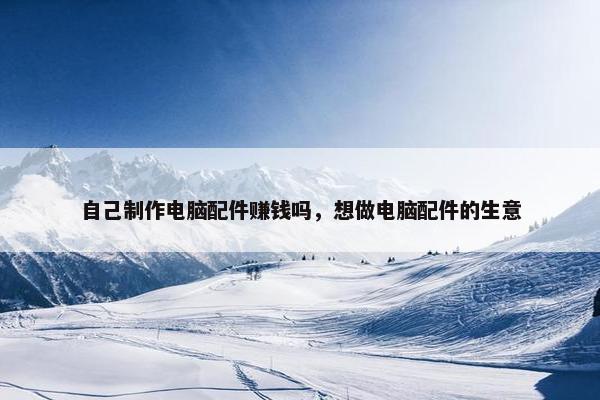 自己制作电脑配件赚钱吗，想做电脑配件的生意