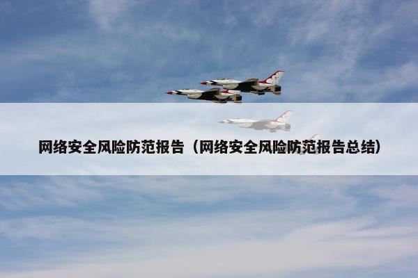 网络安全风险防范报告（网络安全风险防范报告总结）