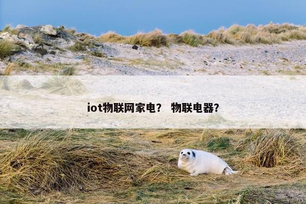 iot物联网家电？ 物联电器？