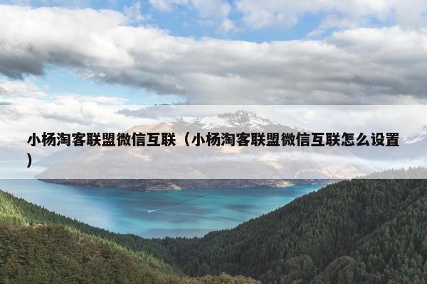 小杨淘客联盟微信互联（小杨淘客联盟微信互联怎么设置）