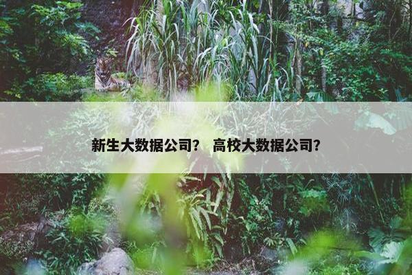 新生大数据公司？ 高校大数据公司？