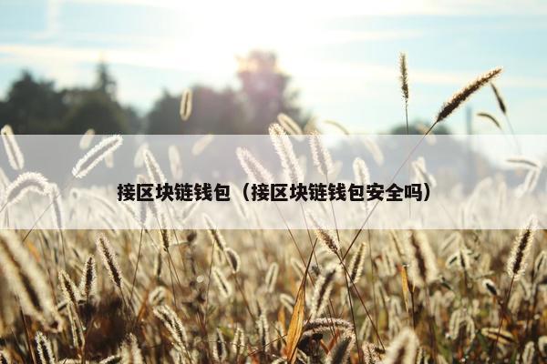 接区块链钱包（接区块链钱包安全吗）
