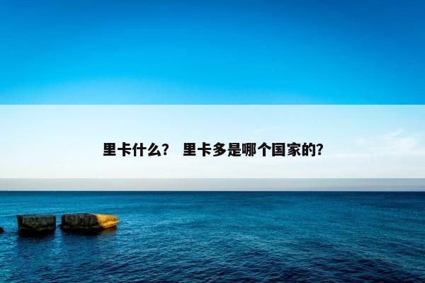 里卡什么？ 里卡多是哪个国家的？