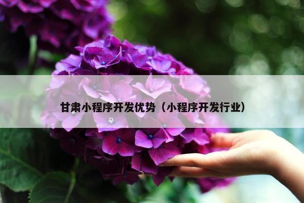 甘肃小程序开发优势（小程序开发行业）