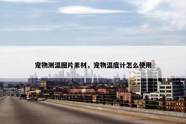 宠物测温图片素材，宠物温度计怎么使用