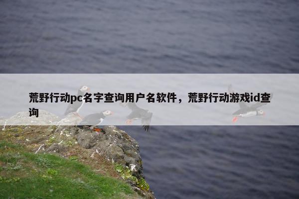 荒野行动pc名字查询用户名软件，荒野行动游戏id查询