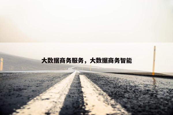 大数据商务服务，大数据商务智能
