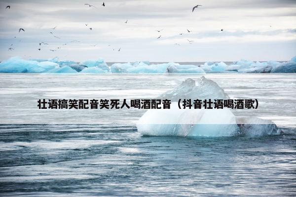 壮语搞笑配音笑死人喝酒配音（抖音壮语喝酒歌）