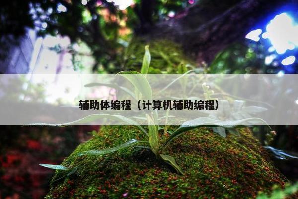 辅助体编程（计算机辅助编程）