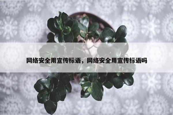 网络安全用宣传标语，网络安全用宣传标语吗