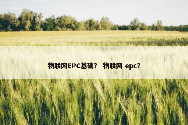物联网EPC基础？ 物联网 epc？