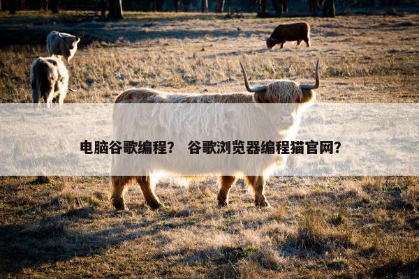 电脑谷歌编程？ 谷歌浏览器编程猫官网？