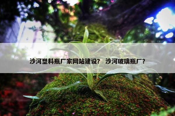 沙河塑料瓶厂家网站建设？ 沙河玻璃瓶厂？