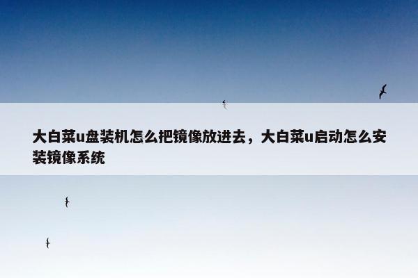 大白菜u盘装机怎么把镜像放进去，大白菜u启动怎么安装镜像系统
