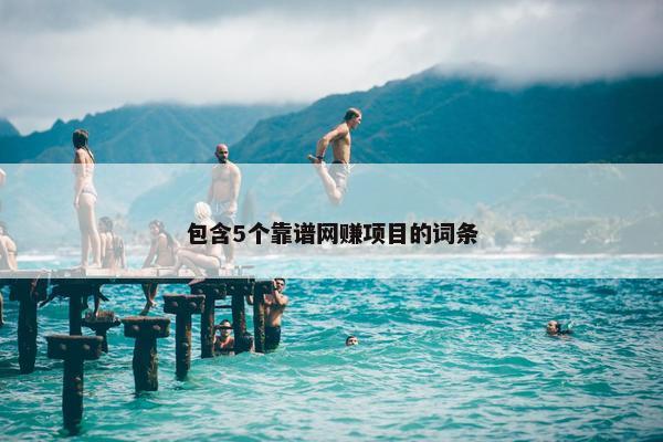 包含5个靠谱网赚项目的词条