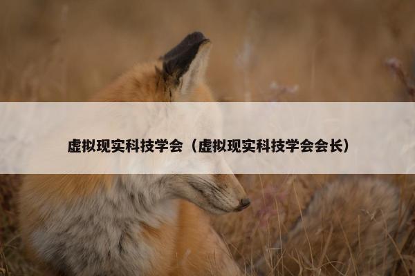 虚拟现实科技学会（虚拟现实科技学会会长）