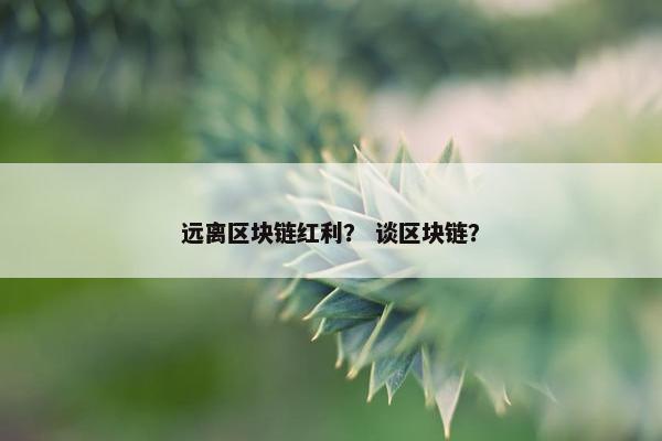 远离区块链红利？ 谈区块链？