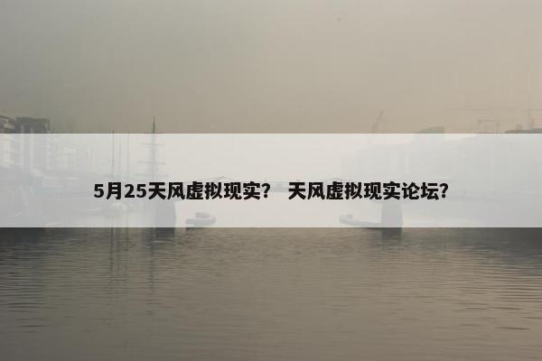 5月25天风虚拟现实？ 天风虚拟现实论坛？