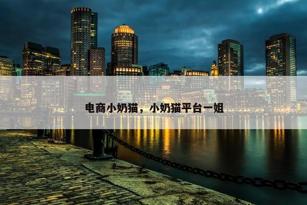 电商小奶猫，小奶猫平台一姐