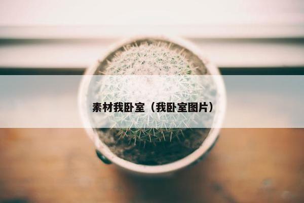素材我卧室（我卧室图片）