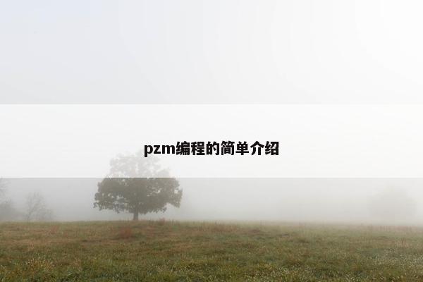 pzm编程的简单介绍