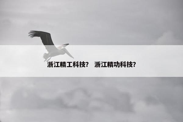 浙江精工科技？ 浙江精功科技？