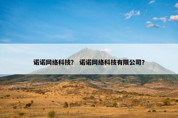 诺诺网络科技？ 诺诺网络科技有限公司？