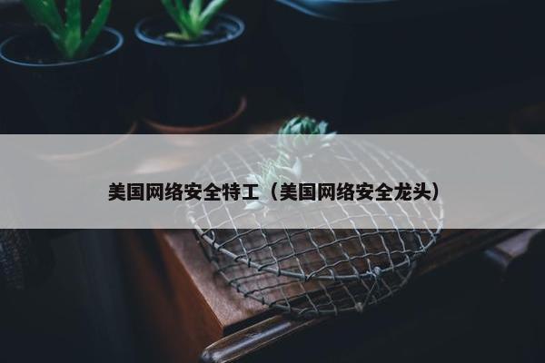 美国网络安全特工（美国网络安全龙头）