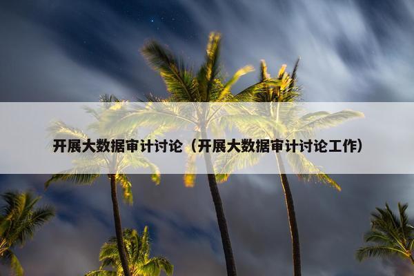 开展大数据审计讨论（开展大数据审计讨论工作）
