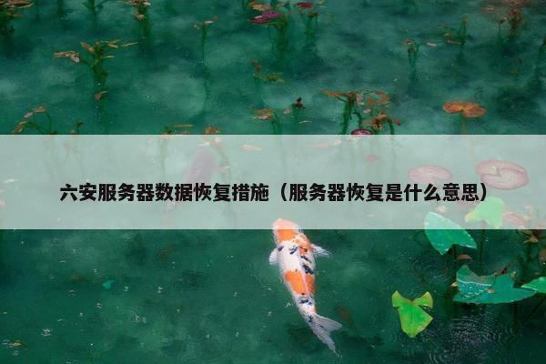 六安服务器数据恢复措施（服务器恢复是什么意思）